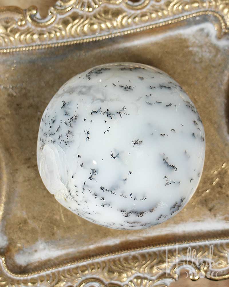 Dendritic Agate palm stone on a decorative gold tray