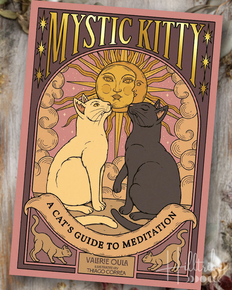 Cover of 'Mystic Kitty: A Cat's Guide to Meditation' with two cats and a sun design.
