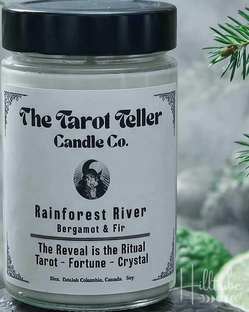 A jar candle labeled 'Rainforest River' by The Tarot Teller Candle Co. is displayed on wet stones with moss, ferns, pine branches, and lime slices in a misty forest setting.