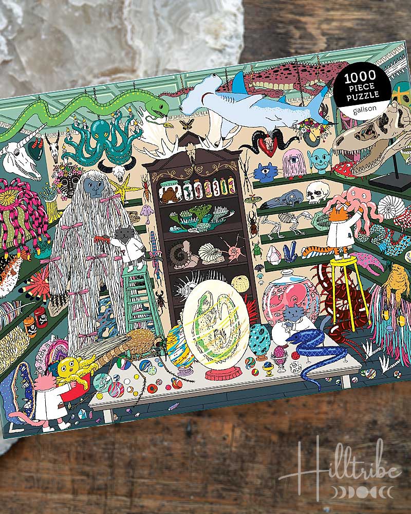 World of Curiosities Puzzle box