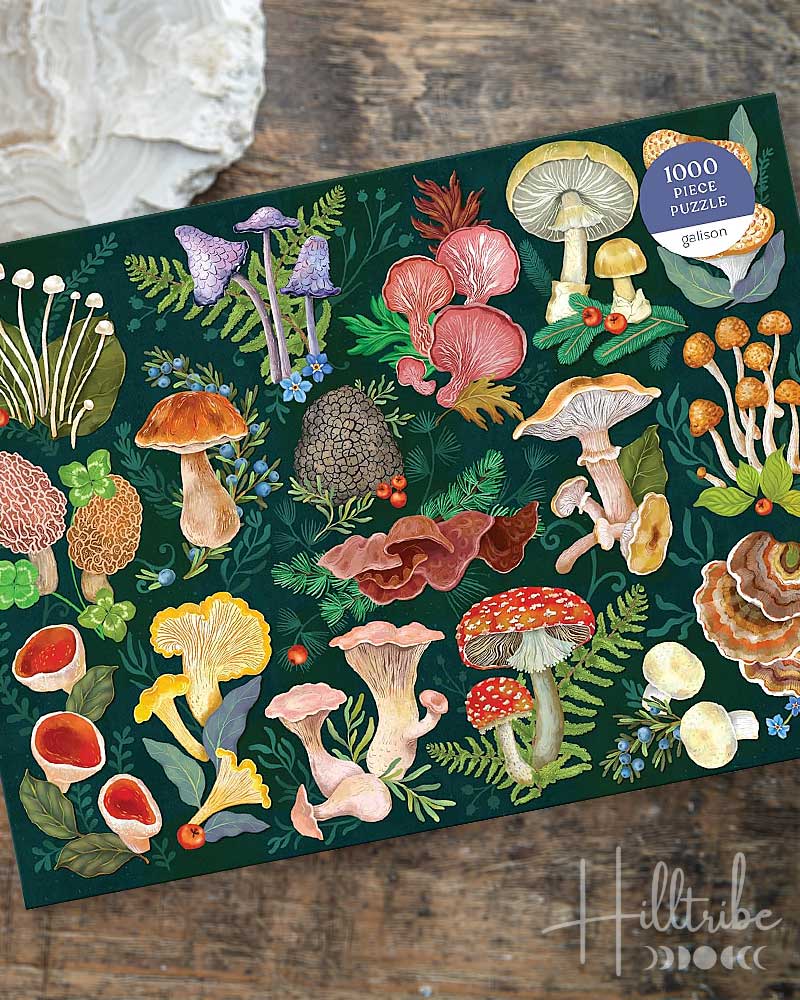Mushroom-themed puzzle packaging with illustrations of various mushrooms on a dark green background.