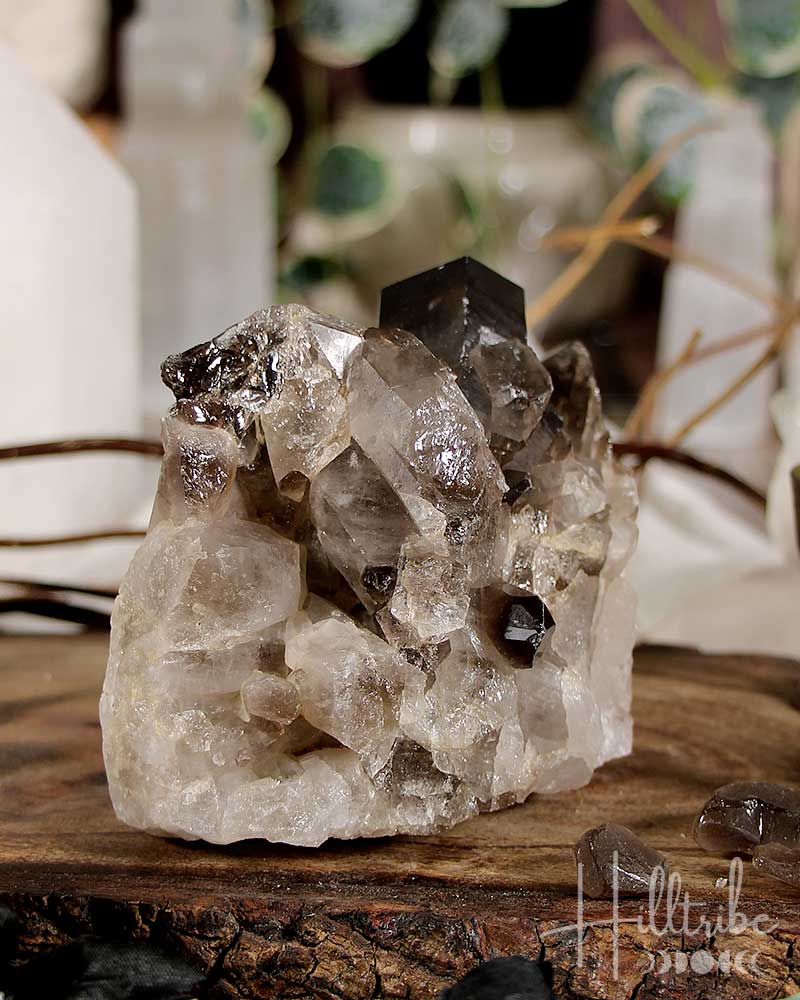 Smoky Quartz Cluster 800gr from Hilltribe Ontario