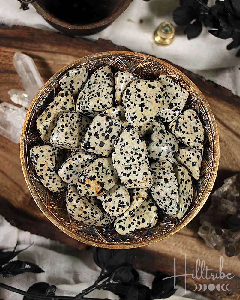 Dalmation Jasper Tumbled from Hilltribe Ontario