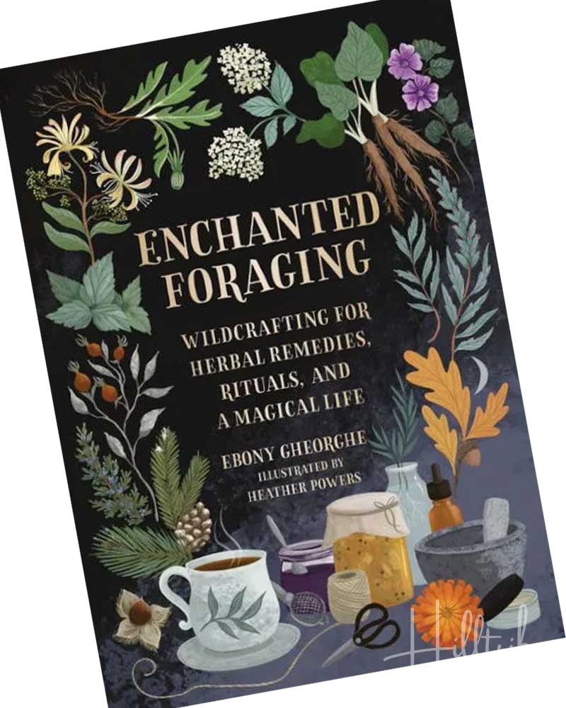 Enchanted Foraging from Hilltribe Ontario