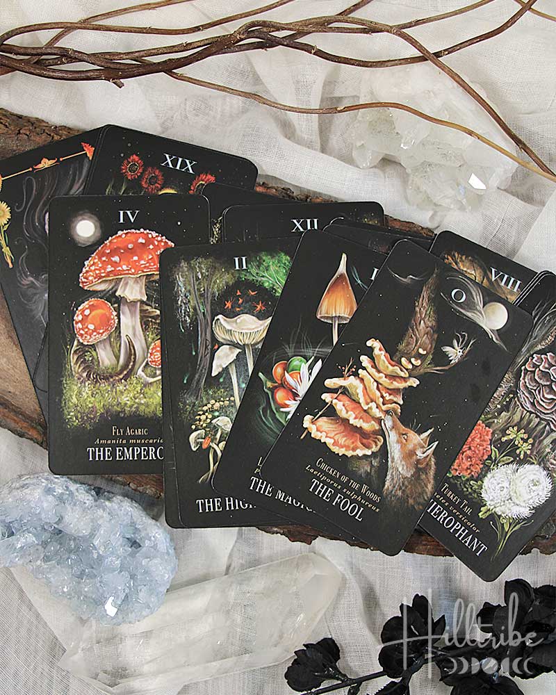 Midnight Magic from Hilltribe Ontario