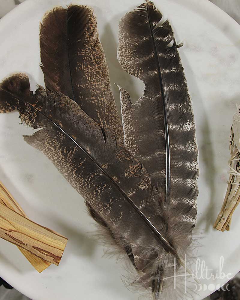 Turkey Smudging Feather from Hilltribe Ontario