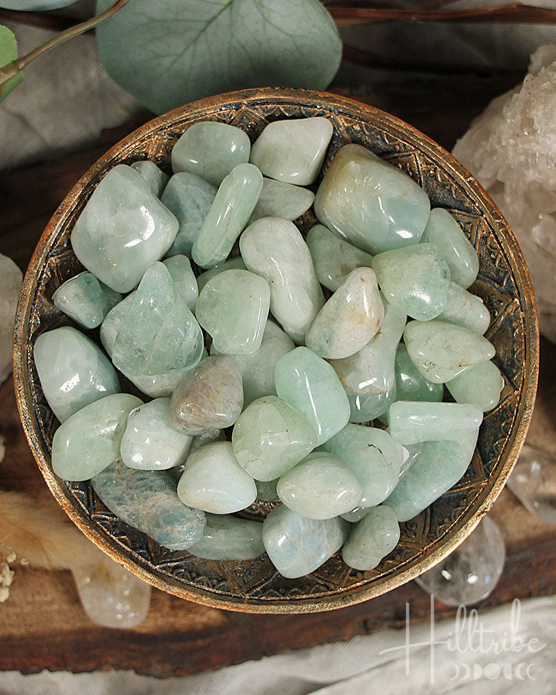 Explore our collection of crystals to support Pisceans in communication, grounding, and protection, including Aquamarine, Amethyst, Fluorite, Amazonite, and Labradorite.