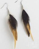 Feather earrings with brown and black feathers on a white background
