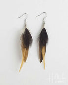 Feather earrings with black, brown, and gold feathers on a white background