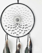 Dreamcatcher with feathers on a white background