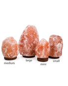 Four Himalayan salt lamps labeled 'medium', 'large', 'mini', and 'small' on a white background.