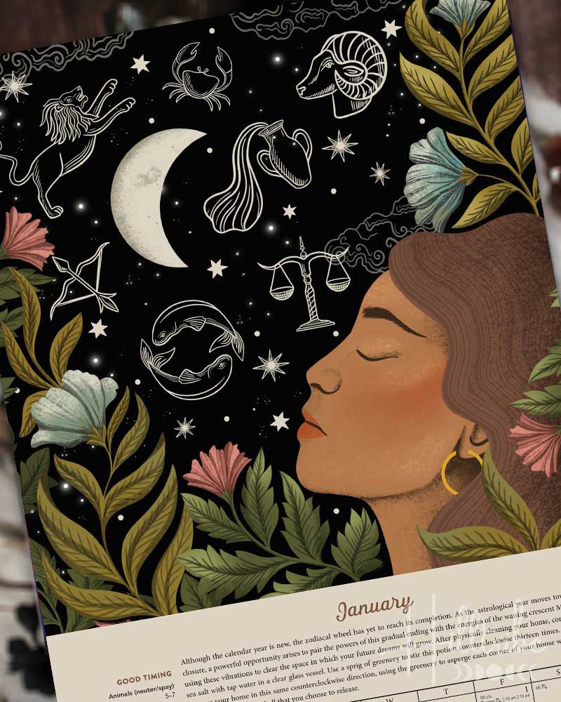 An illustrated monthly calendar page for January, from Llewellyn’s 2027 Magical Moon calendar featuring a dark celestial and botanical design with a woman's profile, moon, stars, zodiac symbols, flowers, and leaves above a beige calendar grid with text.