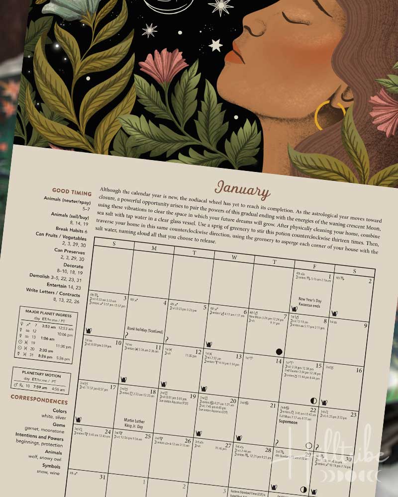 An illustrated monthly calendar page for January, from Llewellyn’s 2027 Magical Moon calendar featuring a dark celestial and botanical design with a woman's profile, moon, stars, zodiac symbols, flowers, and leaves above a beige calendar grid with text.