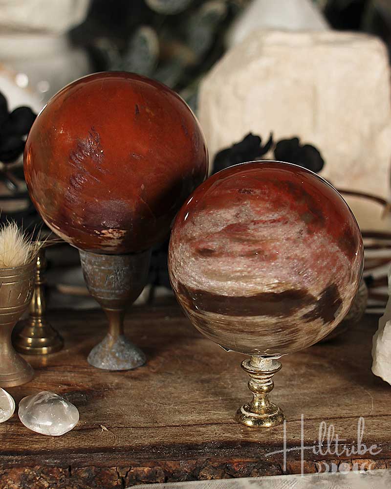 Two Petrified Wood Spheres on stands with a rustic background