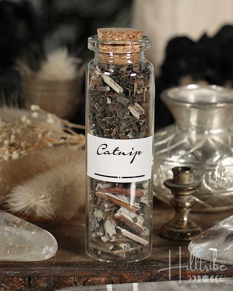 Glass bottle labeled 'Catnip' with cork lid on a wooden surface.