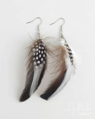 Feather earrings with black, white, and brown feathers on a light gray background