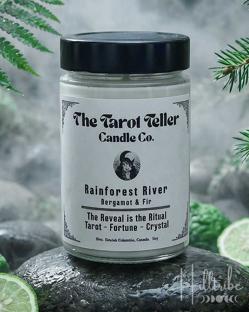 A jar candle from The Tarot Teller Candle Co. labeled 'Rainforest River' sits on wet rocks with green ferns and lime slices around it.