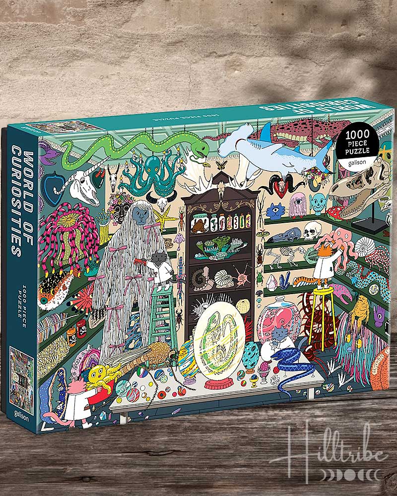 World of Curiosities Puzzle box