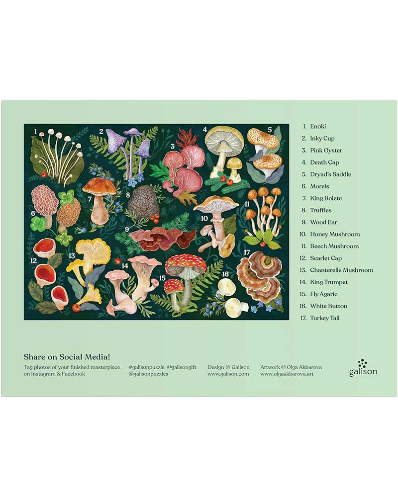 Illustration of various mushrooms with labels on a green background