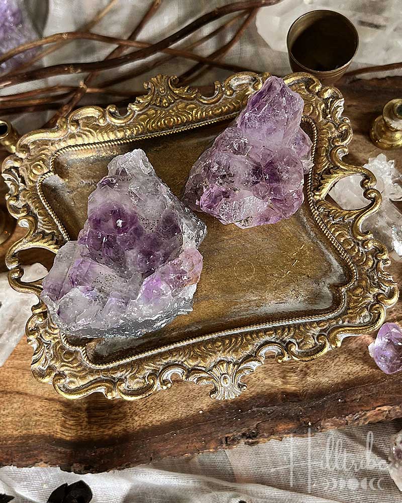 XSmall Amethyst Cluster from Hilltribe Ontario