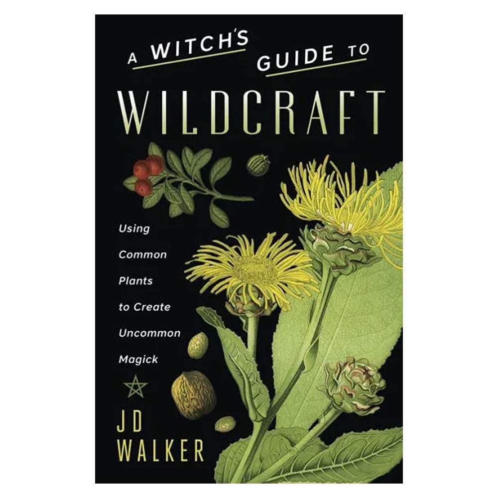 A Witch's Guide to Wildcraft from Hilltribe Ontario