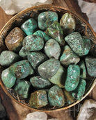 African Turquoise Tumbled from Hilltribe Ontario