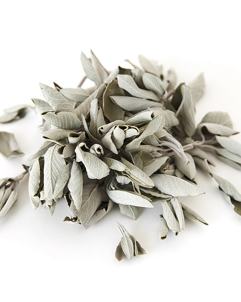 California White Loose Leaf Sage from Hilltribe Ontario