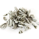 California White Loose Leaf Sage from Hilltribe Ontario