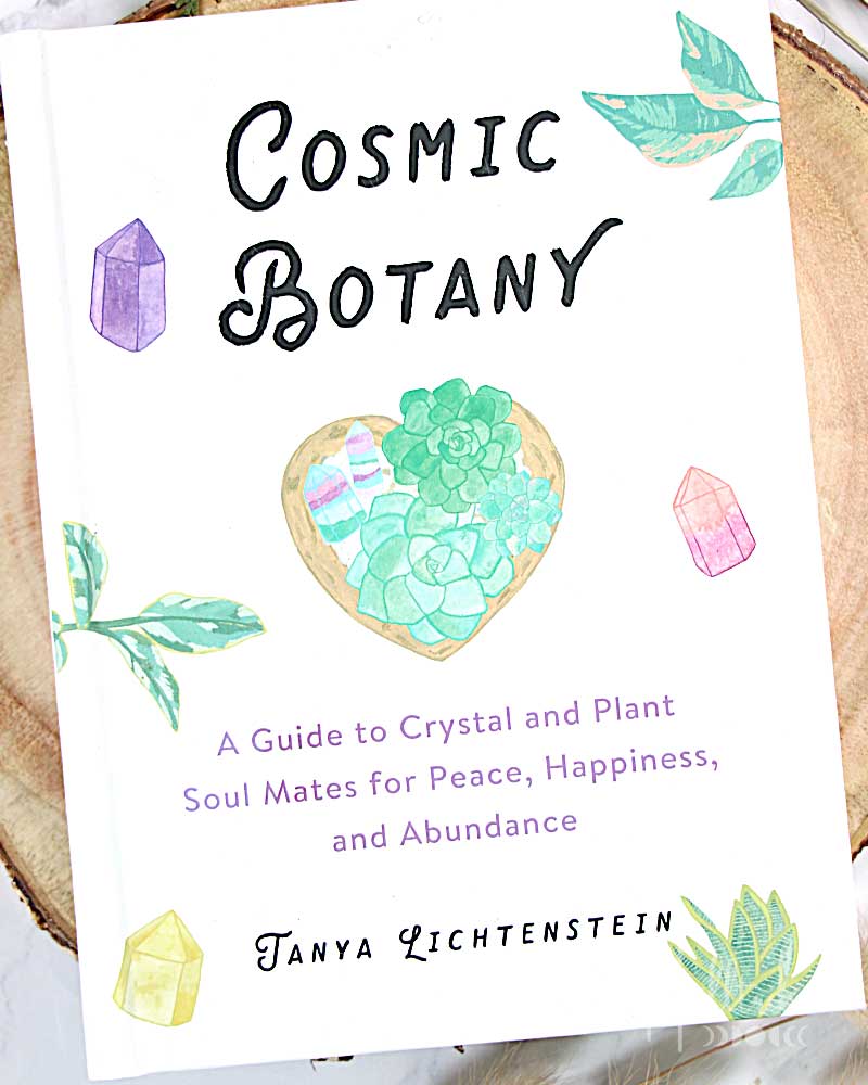 Cosmic Botany: A Guide to Crystal and Plant Soul Mates for Peace, Happiness, and Abundance from Hilltribe Ontario