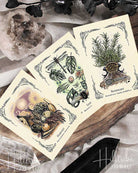 Green Witch's Oracle Deck, The from Hilltribe Ontario