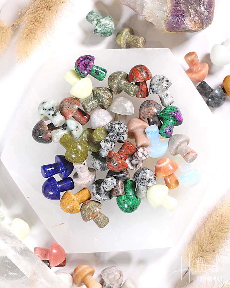Mini Gemstone Mushroom from Hilltribe Ontario