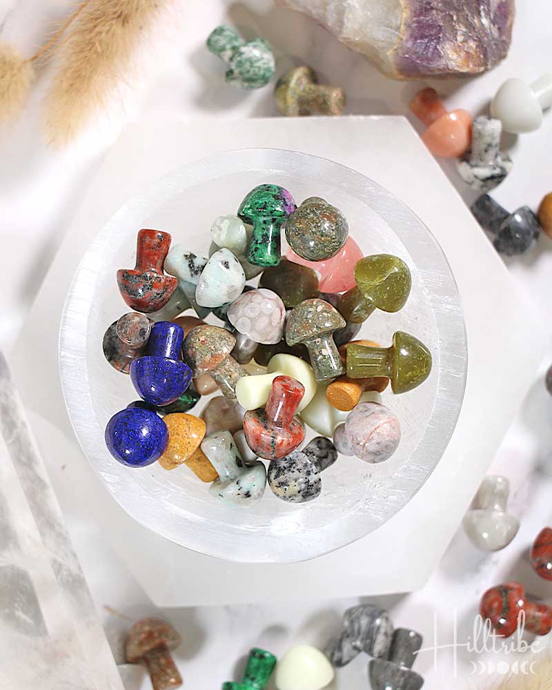 Mini Gemstone Mushroom from Hilltribe Ontario
