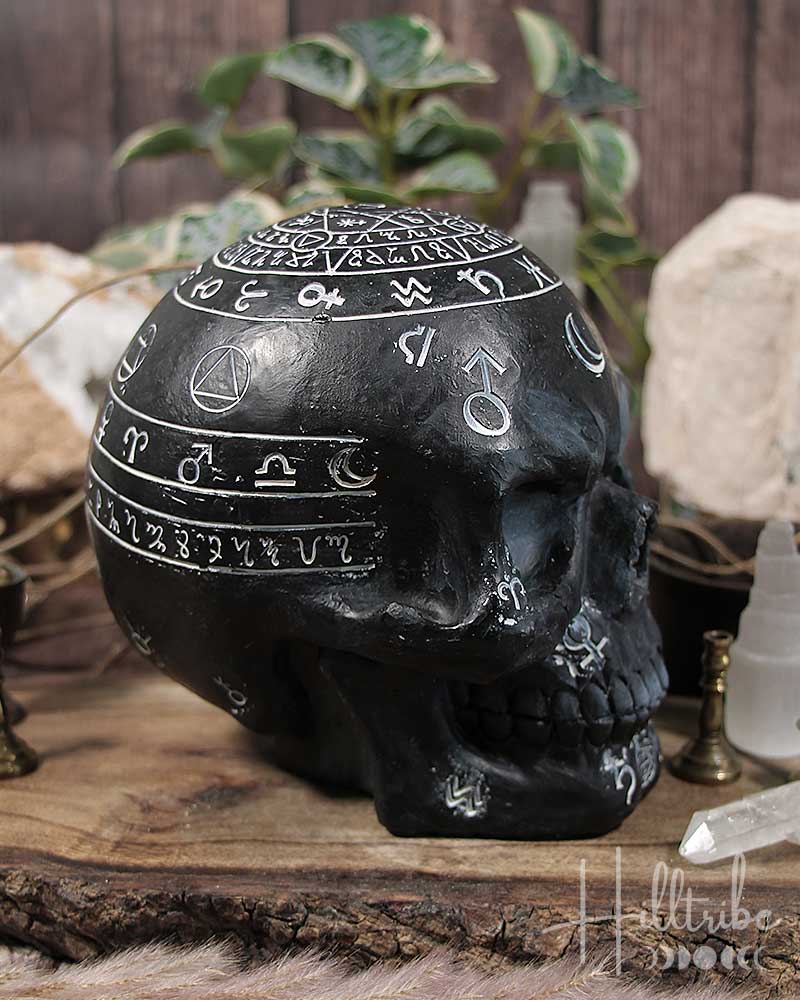 Mystic Arts Skull from Hilltribe Ontario