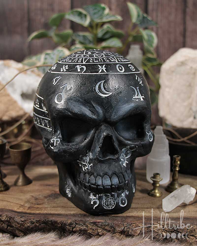 Mystic Arts Skull from Hilltribe Ontario