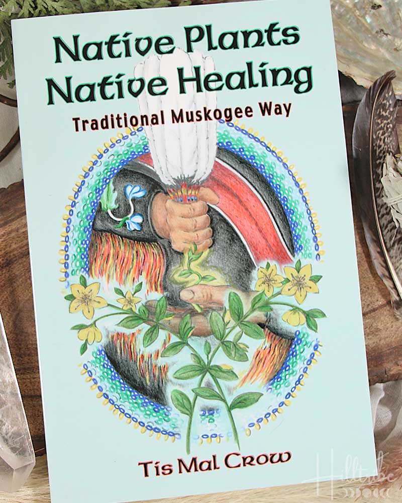 Native Plants Native Healing from Hilltribe Ontario