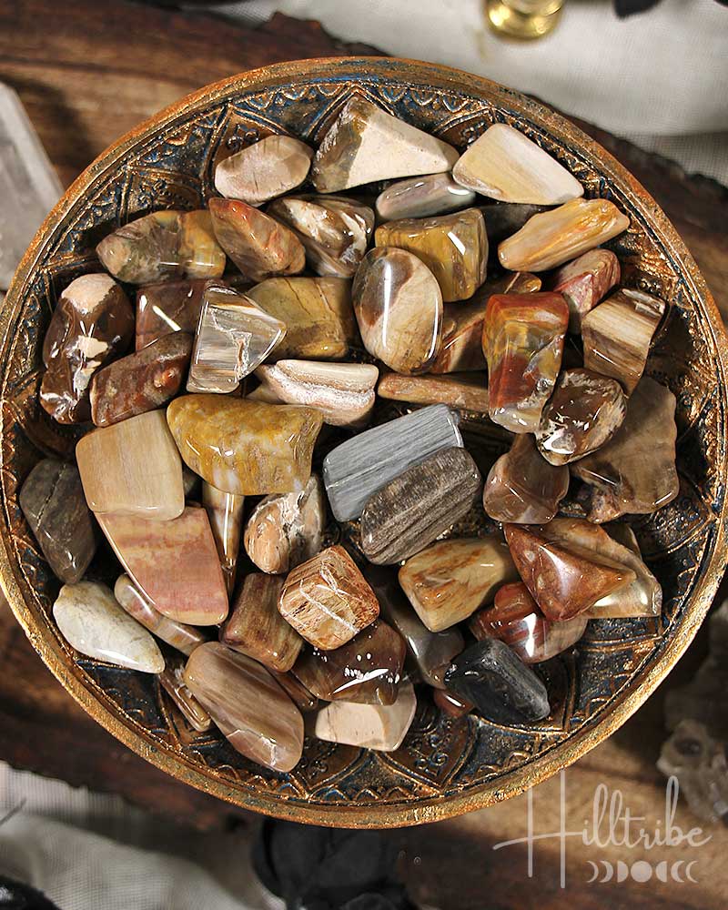 Petrified Wood Tumbled from Hilltribe Ontario
