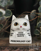 Phrenology Cat from Hilltribe Ontario
