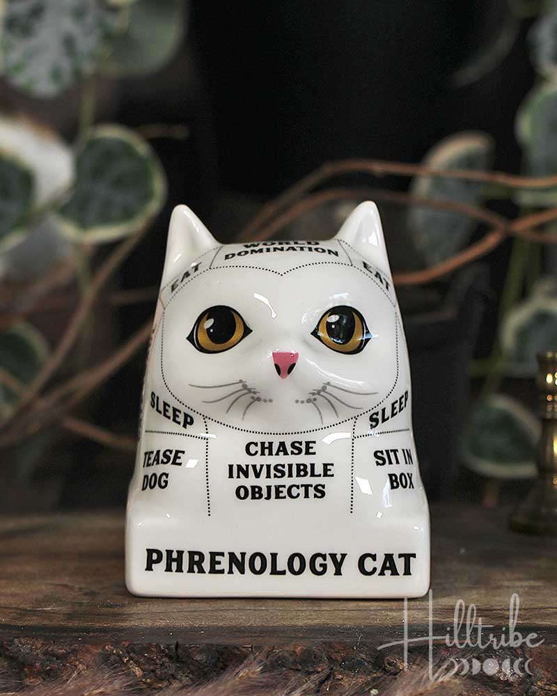 Phrenology Cat from Hilltribe Ontario