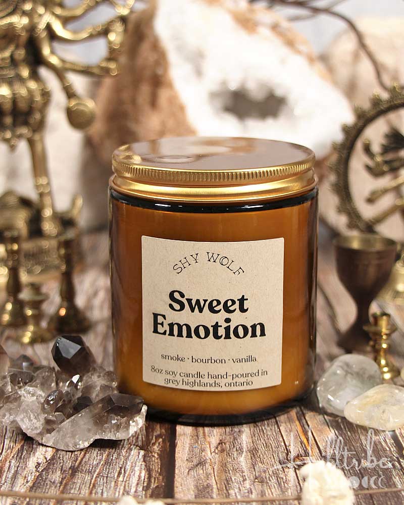 Sweet Emotion Shy Wolf Candle from Hilltribe Ontario