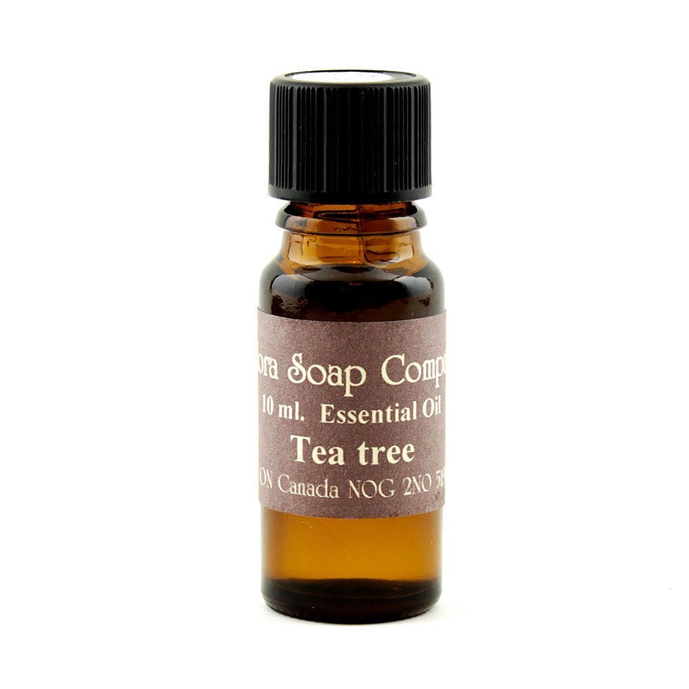 Tea Tree Essential Oil from Hilltribe Ontario