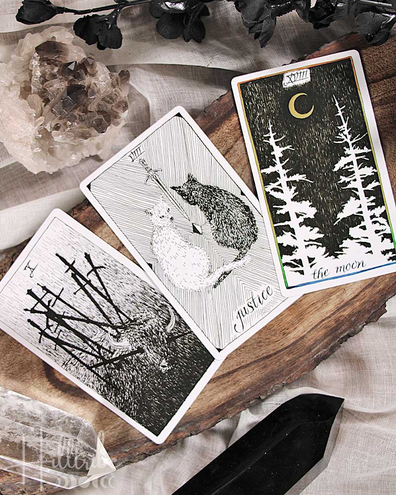 The Wild Unknown Tarot Deck + Guidebook from Hilltribe Ontario