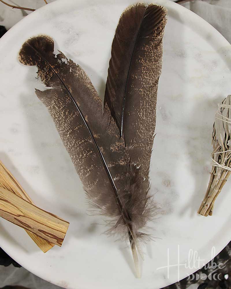 Turkey Smudging Feather from Hilltribe Ontario