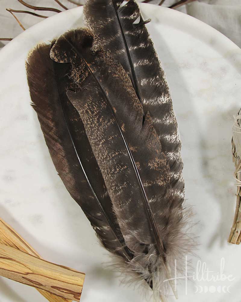 Turkey Smudging Feather from Hilltribe Ontario