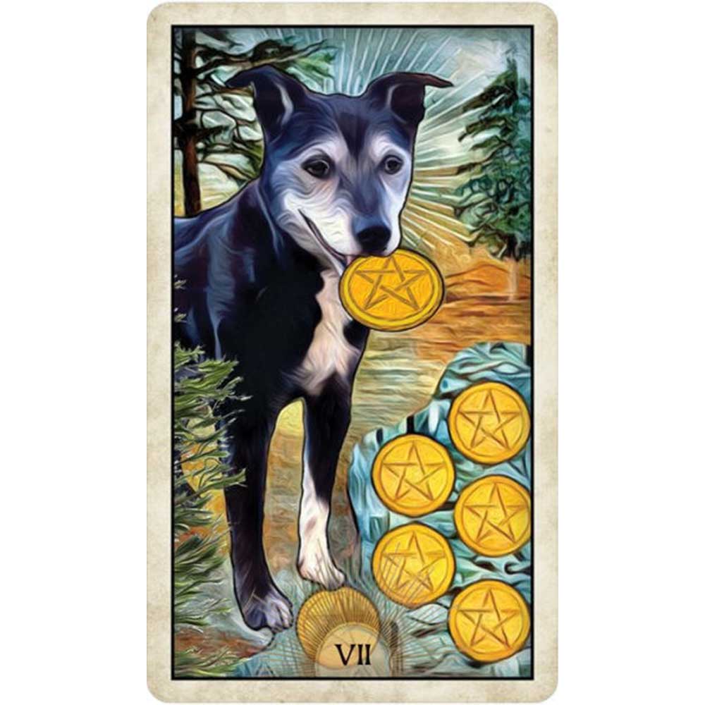 Wise Dog Tarot from Hilltribe Ontario
